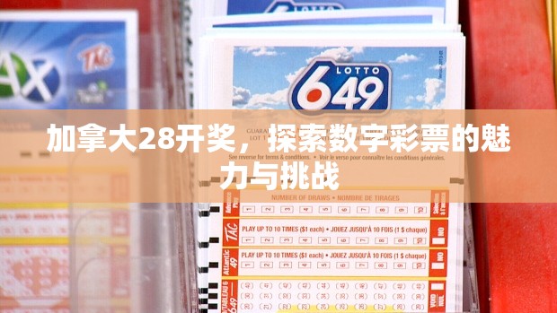 加拿大28开奖，探索数字彩票的魅力与挑战