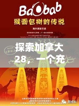 探索加拿大28，一个充满魅力的数字世界