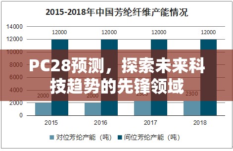 PC28预测，探索未来科技趋势的先锋领域