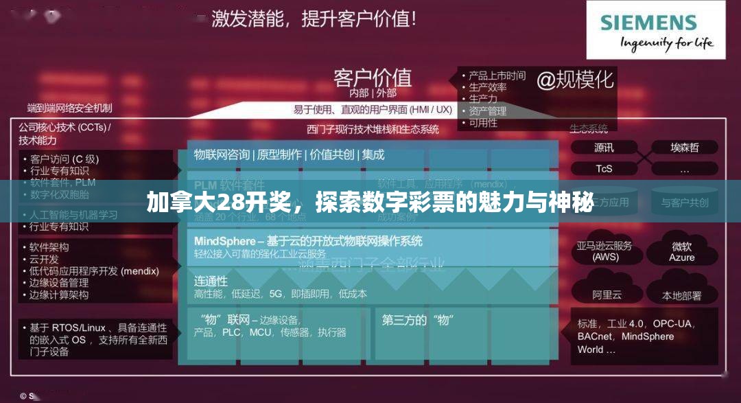 加拿大28开奖，探索数字彩票的魅力与神秘