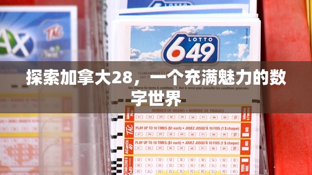 探索加拿大28，一个充满魅力的数字世界