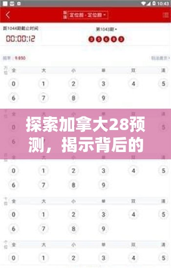 探索加拿大28预测，揭示背后的秘密与策略