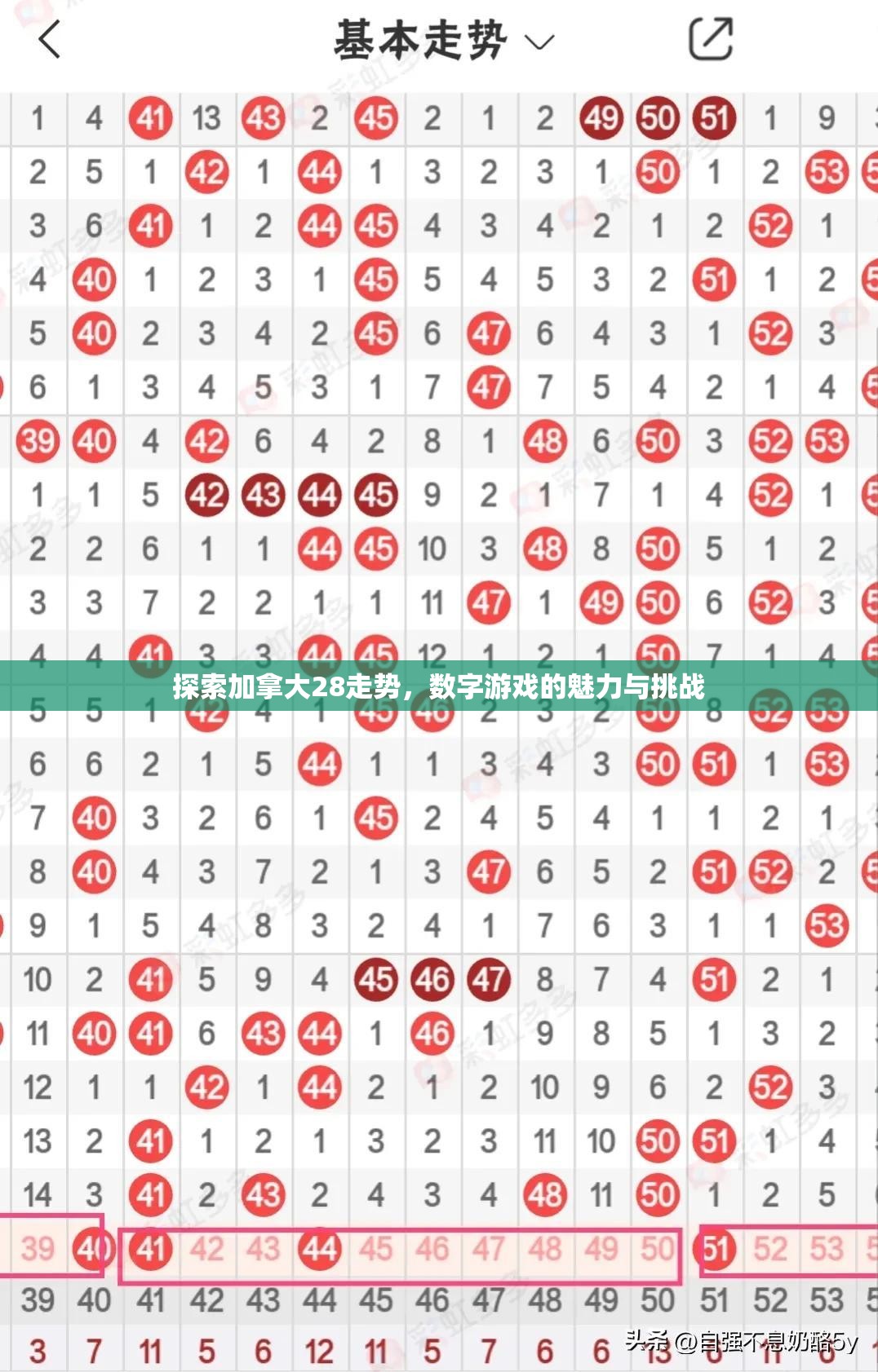 探索加拿大28走势，数字游戏的魅力与挑战