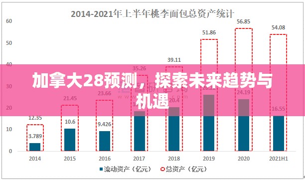 加拿大28预测，探索未来趋势与机遇