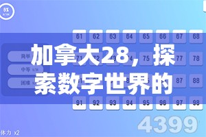 加拿大28，探索数字世界的无限魅力