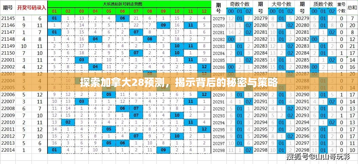 探索加拿大28预测，揭示背后的秘密与策略