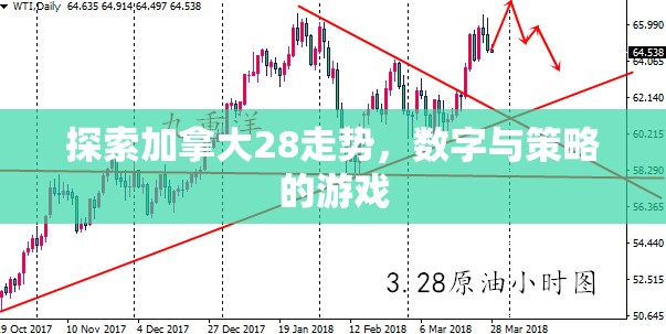 探索加拿大28走势，数字与策略的游戏