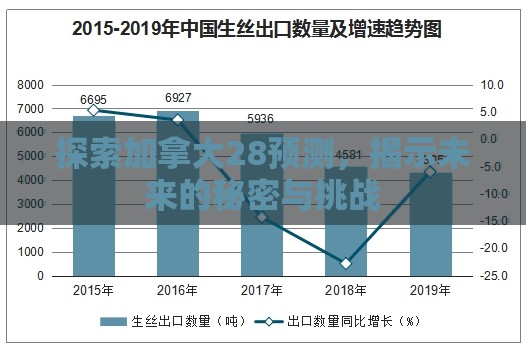 探索加拿大28预测，揭示未来的秘密与挑战