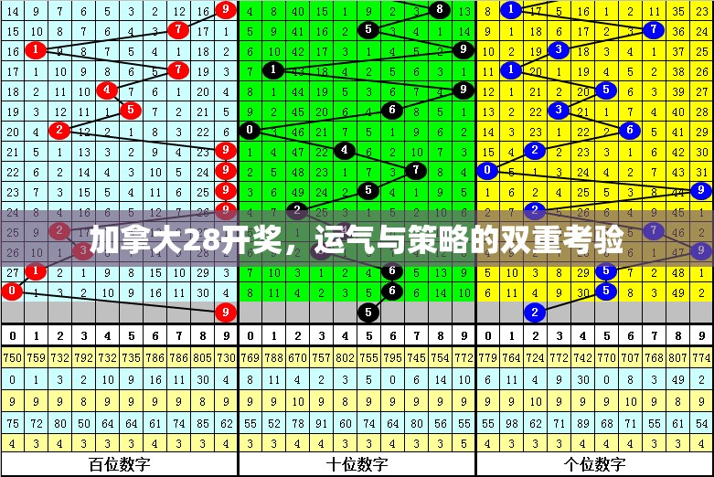 加拿大28开奖，运气与策略的双重考验