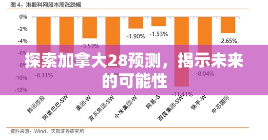 探索加拿大28预测，揭示未来的可能性