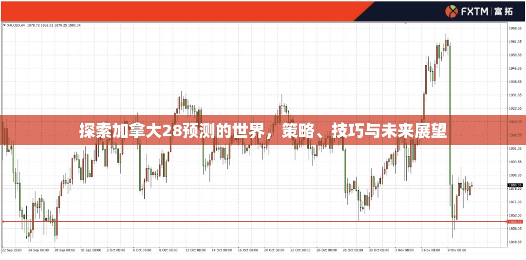 探索加拿大28预测的世界，策略、技巧与未来展望