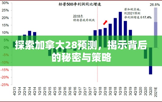 探索加拿大28预测，揭示背后的秘密与策略