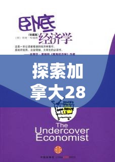 探索加拿大28预测，揭示背后的秘密与策略