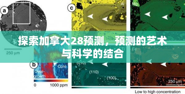 探索加拿大28预测，预测的艺术与科学的结合