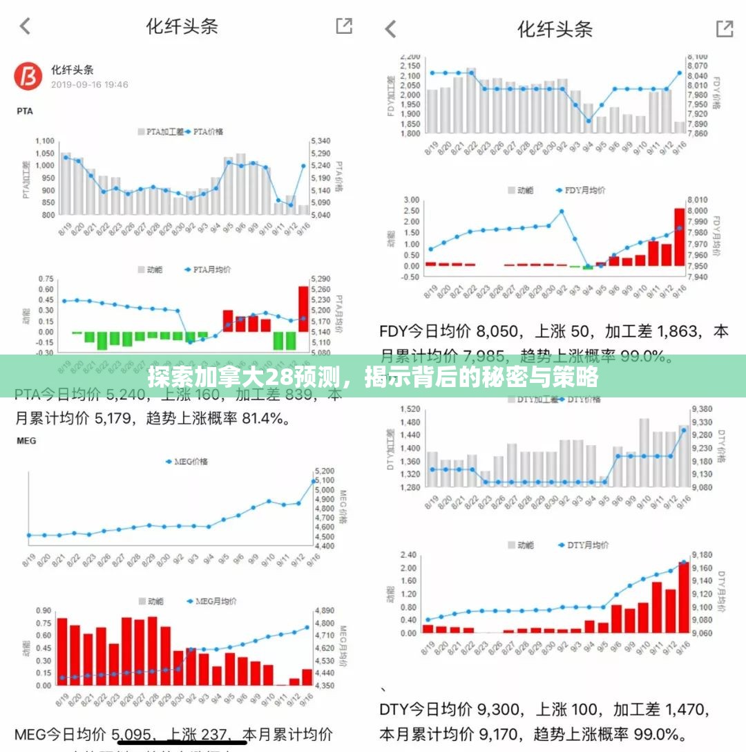 探索加拿大28开奖，开奖机制与彩民体验