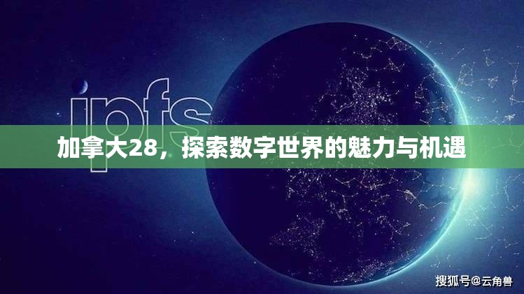 加拿大28，探索数字世界的魅力与机遇