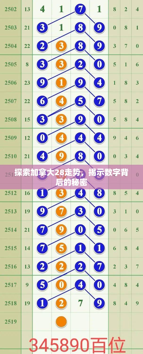 探索加拿大28走势，揭示数字背后的秘密