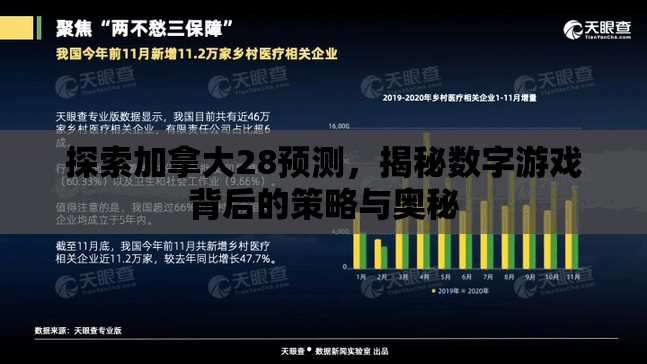 探索加拿大28预测，揭秘数字游戏背后的策略与奥秘