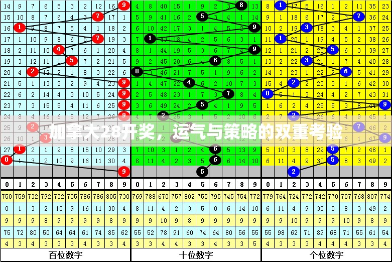 加拿大28开奖，运气与策略的双重考验