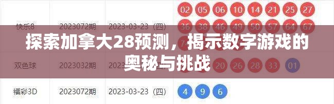 探索加拿大28预测，揭示数字游戏的奥秘与挑战