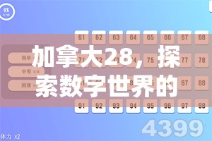 加拿大28，探索数字世界的魅力与机遇