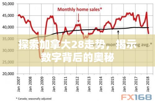 探索加拿大28走势，揭示数字背后的奥秘