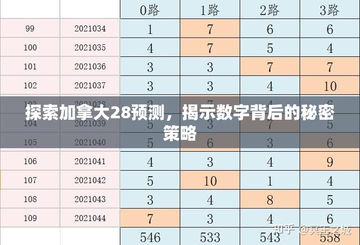 探索加拿大28预测，揭示数字背后的秘密策略