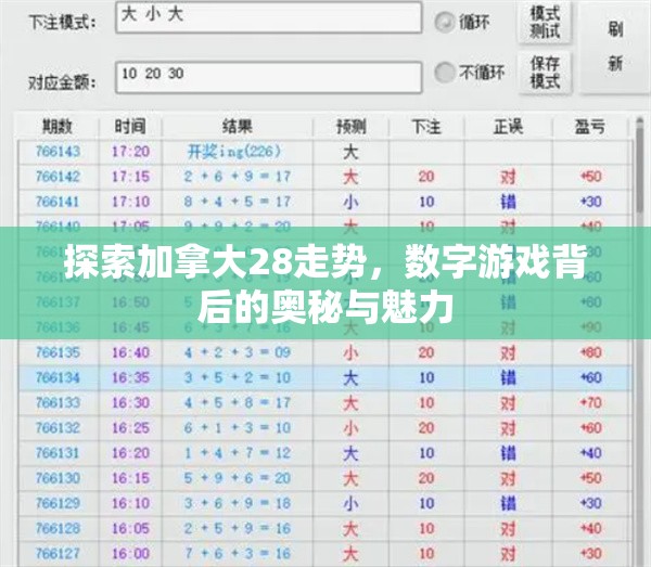 探索加拿大28走势，数字游戏背后的奥秘与魅力