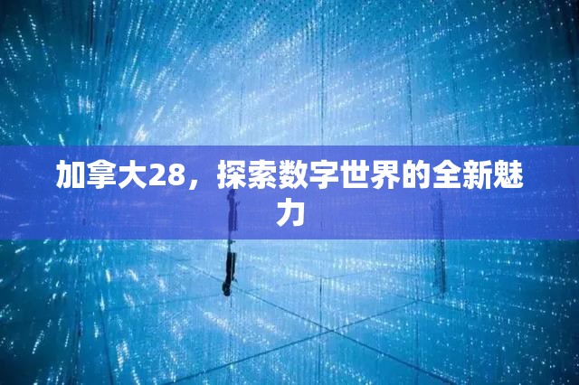 加拿大28，探索数字世界的全新魅力