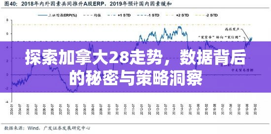 探索加拿大28走势，数据背后的秘密与策略洞察