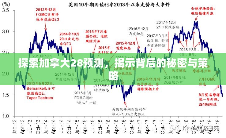 探索加拿大28预测，揭示背后的秘密与策略