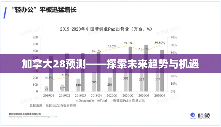 加拿大28预测——探索未来趋势与机遇