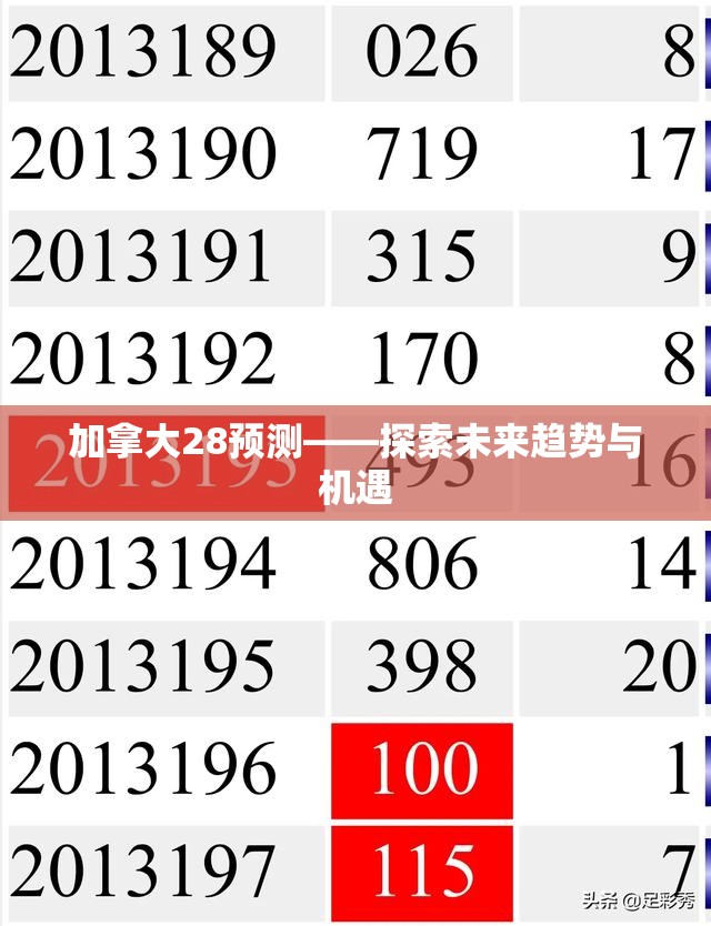 加拿大28预测——探索未来趋势与机遇