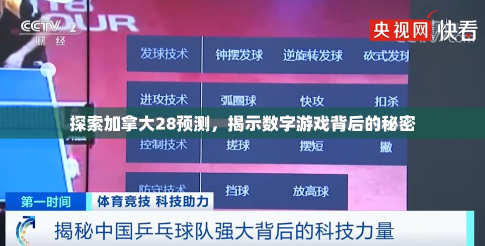 探索加拿大28预测，揭示数字游戏背后的秘密