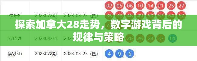 探索加拿大28预测，揭示未来的可能性与挑战