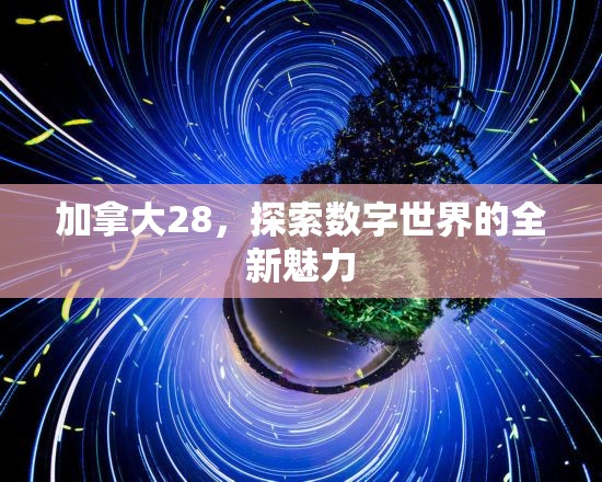 加拿大28，探索数字世界的全新魅力