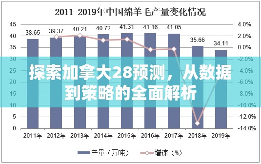 探索加拿大28预测，从数据到策略的全面解析