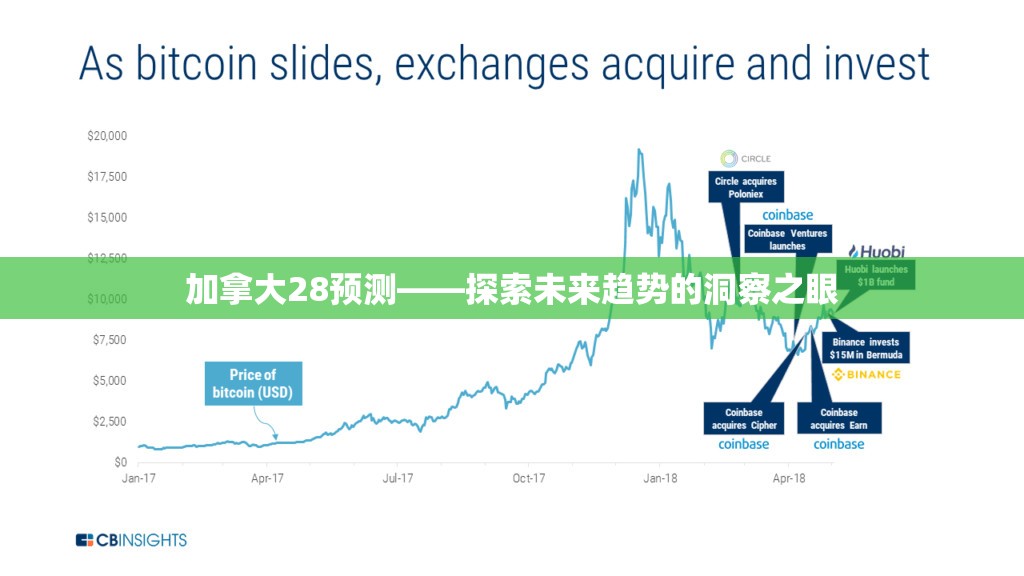 加拿大28预测——探索未来趋势的洞察之眼