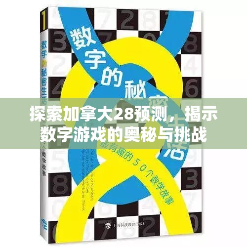 探索加拿大28预测，揭示数字游戏的奥秘与挑战