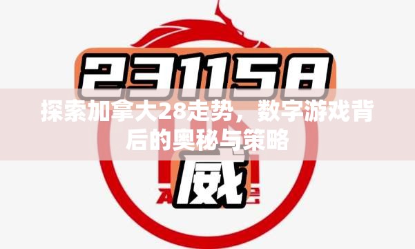 探索加拿大28预测，从数据到策略的全面解析