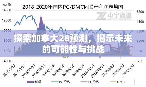 探索加拿大28预测，揭示未来的可能性与挑战