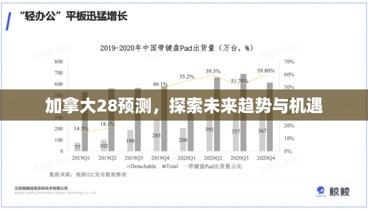 加拿大28预测，探索未来趋势与机遇