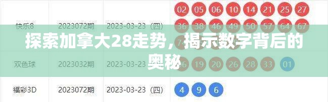 探索加拿大28走势，揭示数字背后的奥秘