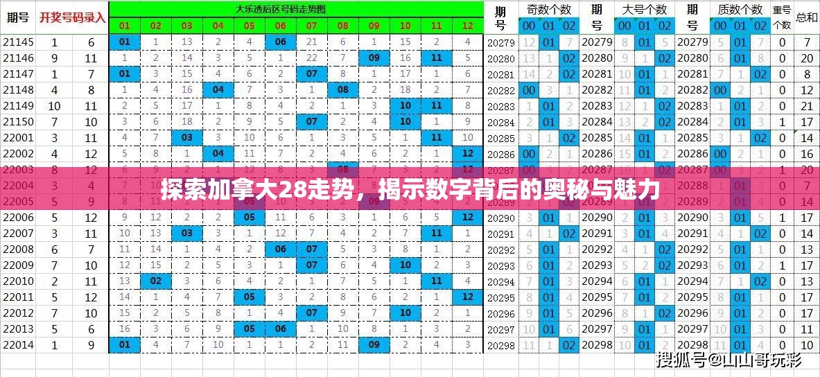 探索加拿大28走势，揭示数字背后的奥秘与魅力