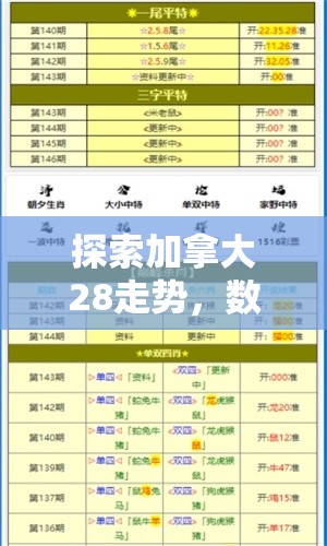 探索加拿大28走势，数字游戏背后的奥秘与挑战