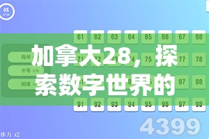 加拿大28，探索数字世界的魅力与机遇