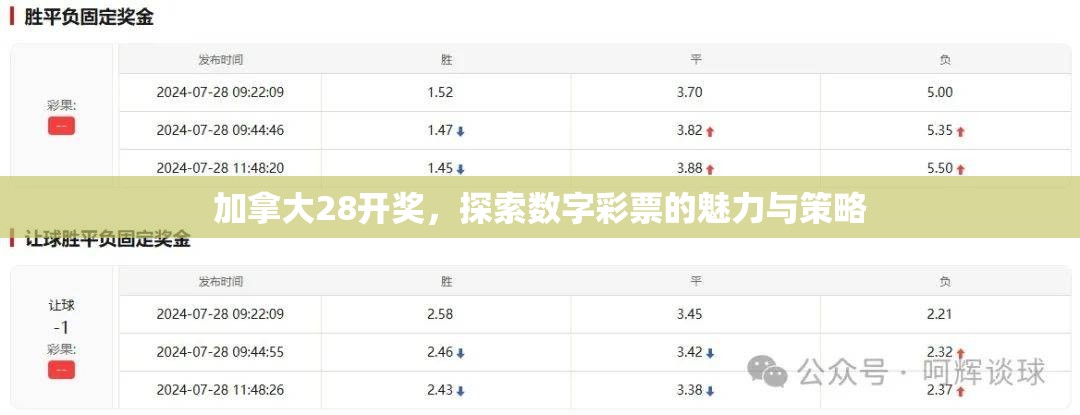 加拿大28开奖，探索数字彩票的魅力与策略