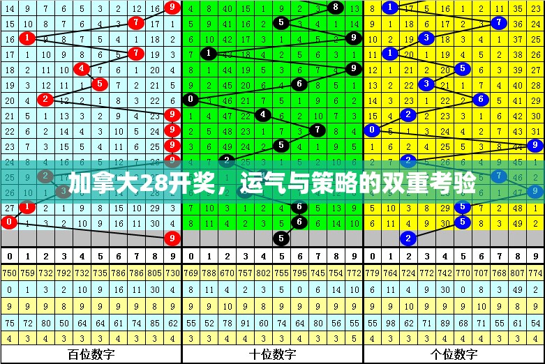 加拿大28开奖，运气与策略的双重考验