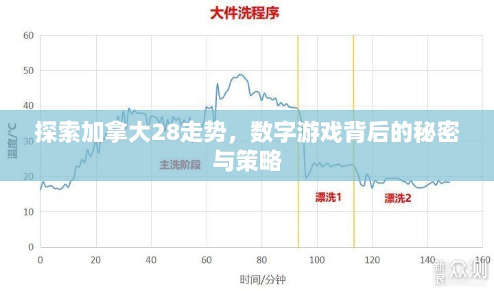 探索加拿大28走势，数字游戏背后的秘密与策略