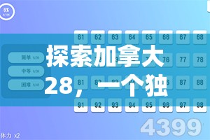 探索加拿大28，一个独特的数字世界